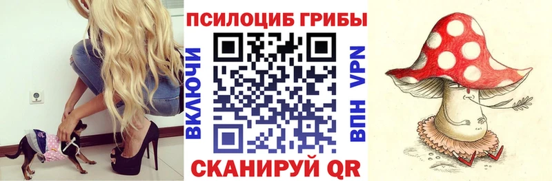 Галлюциногенные грибы мицелий Сорочинск